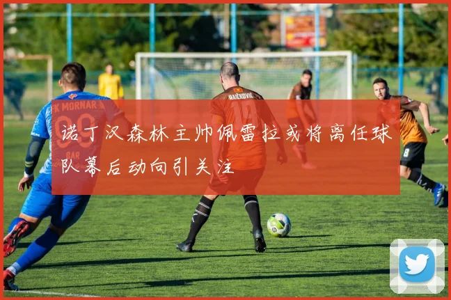 诺丁汉森林主帅佩雷拉或将离任球队幕后动向引关注