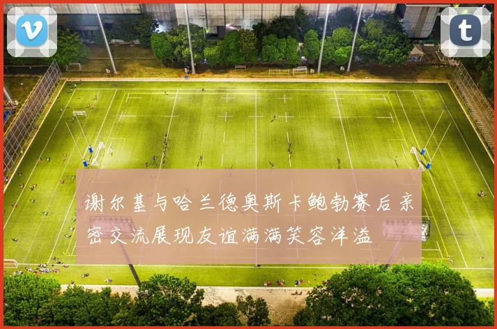 谢尔基与哈兰德奥斯卡鲍勃赛后亲密交流展现友谊满满笑容洋溢
