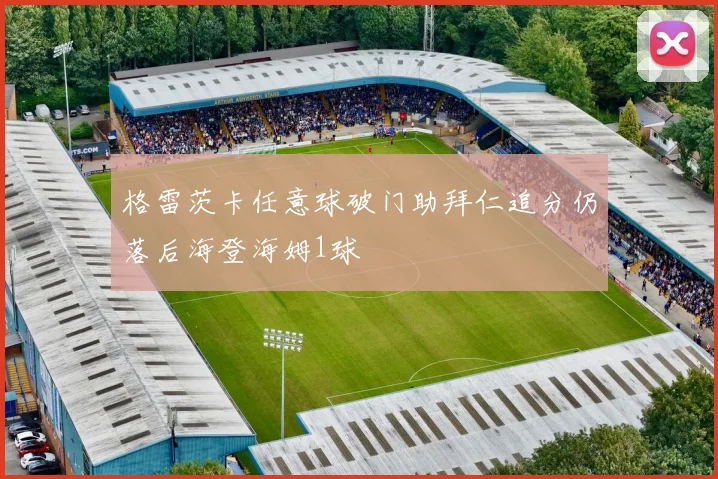 格雷茨卡任意球破门助拜仁追分仍落后海登海姆1球